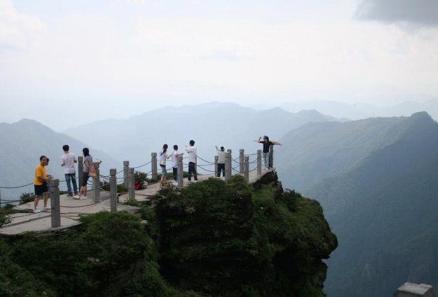 寻爱巅峰